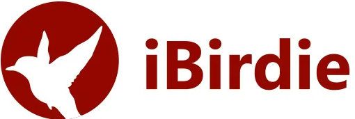 iBirdie